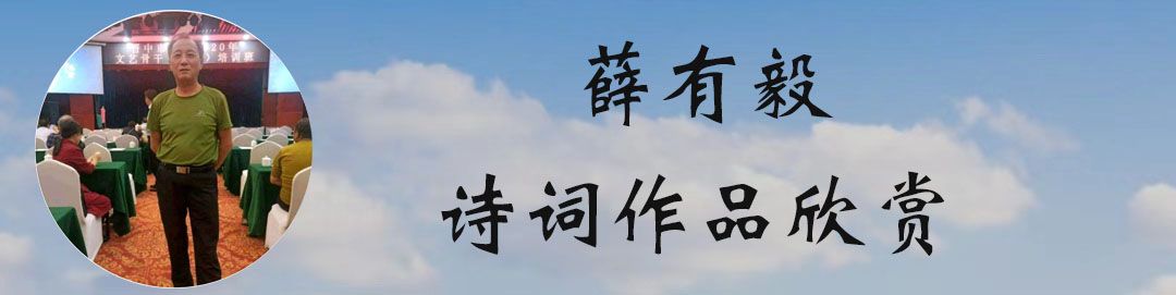 中华诗艺黑龙江分社微刊第149期(图31)