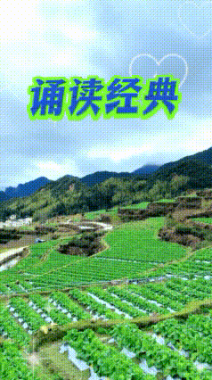 请欣赏《田园怡情》作者 魏德崙/主播.编辑 岁月静好《中国长江文学社》第6075期（图3）