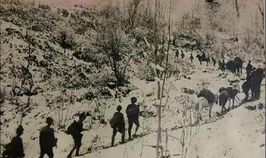 张家祥包洪生小说《夜幕笼罩下的死亡防线》主播:雪绣冰绮 编辑:小鱼儿 【秦岛韵声】(第1071期)(图4)