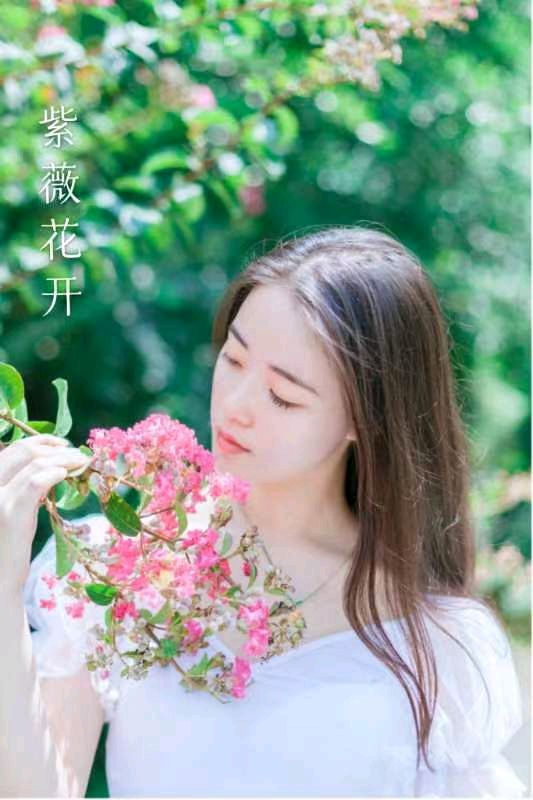 韩庚的《紫薇花》