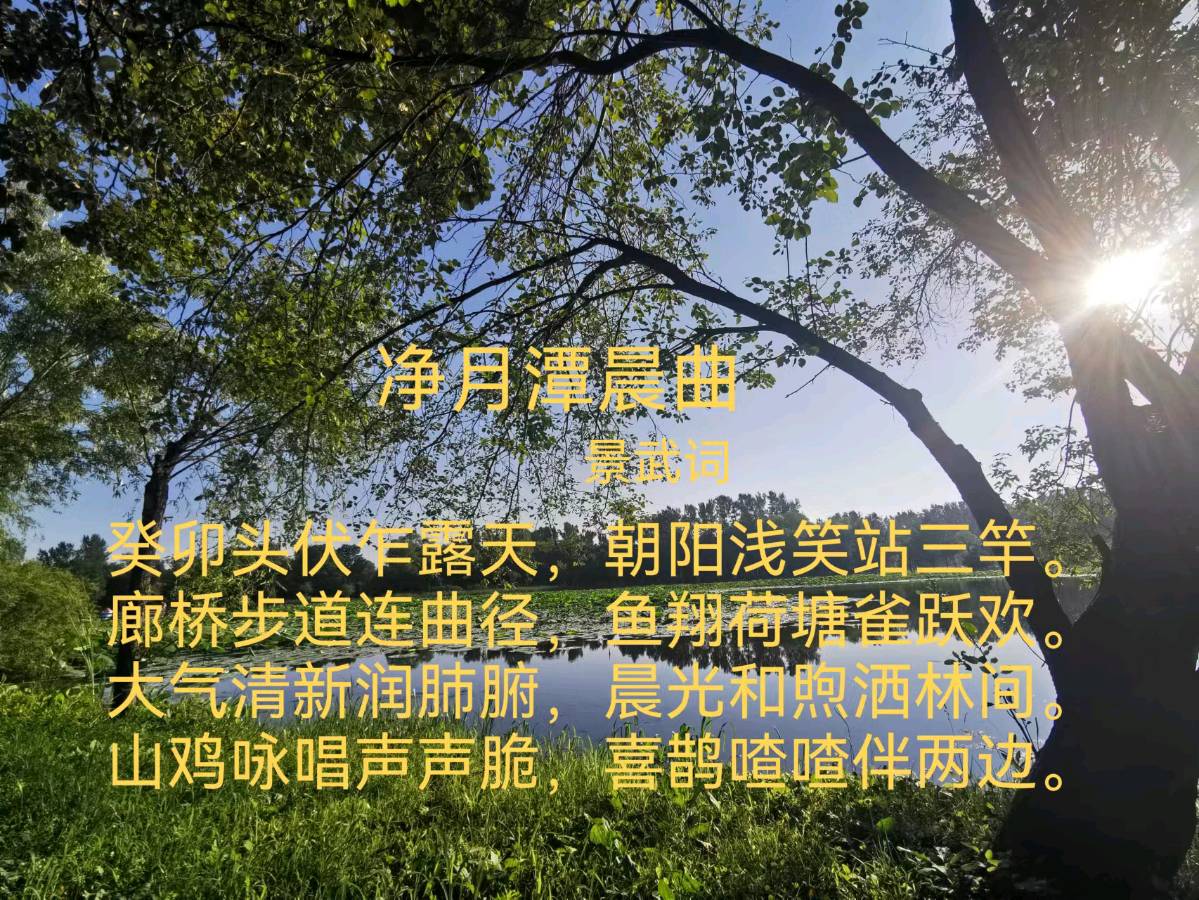 中信社区原创诗词协会作品连载第二辑（图19）