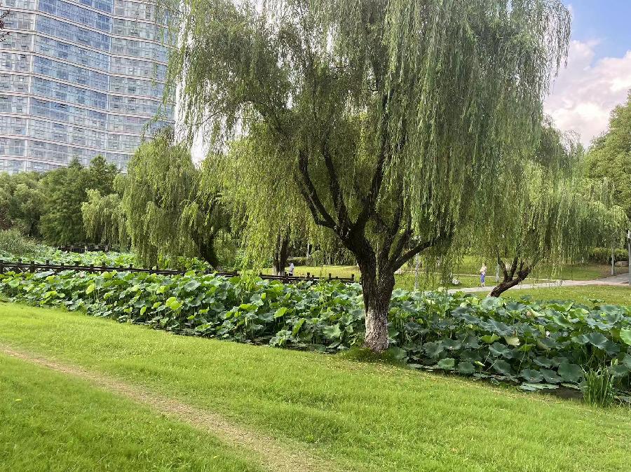 微信图片_20230721231059 微信图片_20230721231059