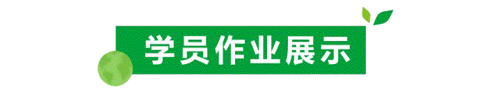 【山水诗社】中岳系96分社第二讲作业(图10)
