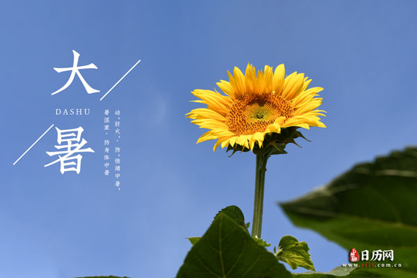 请欣赏《大暑》作者 王楼 /主播 发现未来/编辑 岁月静好《中国长江文学社》第6085期（图4）