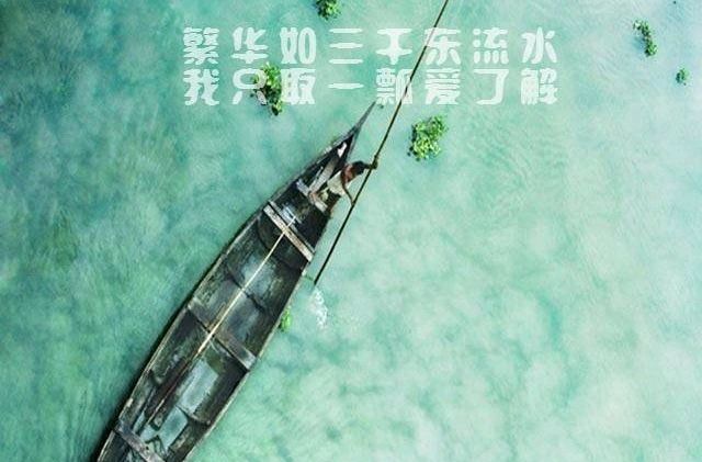 我不要繁华三千～诗║芳菊（图9）