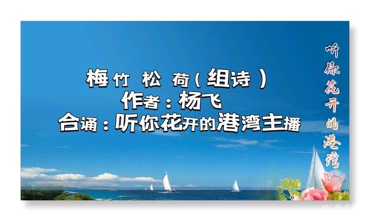 经典合诵 ‖【组诗*梅 竹 松 荷】作者/杨飞 合诵/听你花开的港湾主播 合成制作/六月荷（图2）