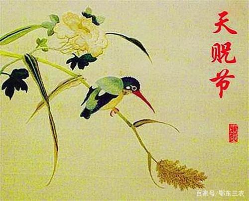 心尘文艺 第981期