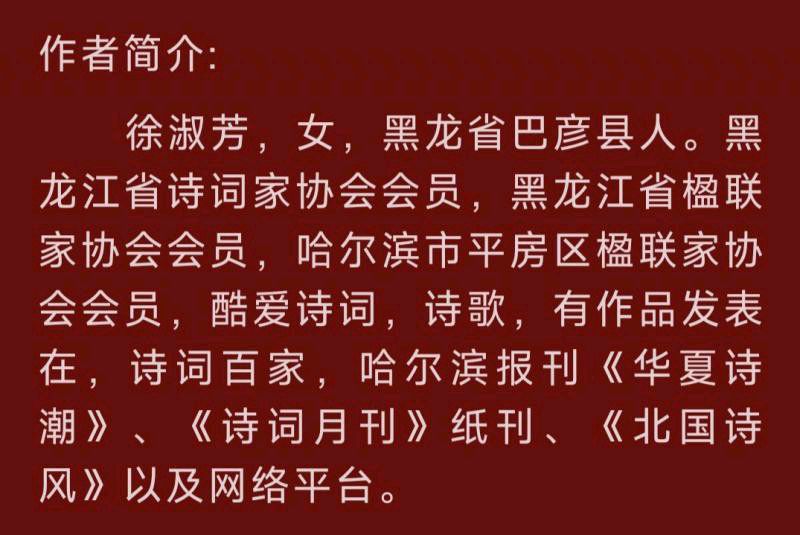 中华诗艺黑龙江分社微刊第151期(图64)