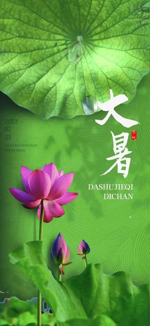 中华诗艺黑龙江分社微刊第151期(图72)