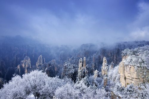 联机全球发布张树元作品欣赏（图6）