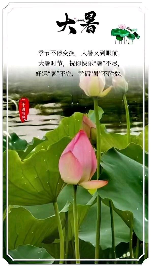 《九江文学社：北京头条》大暑专刊【总第1736期】（图7）