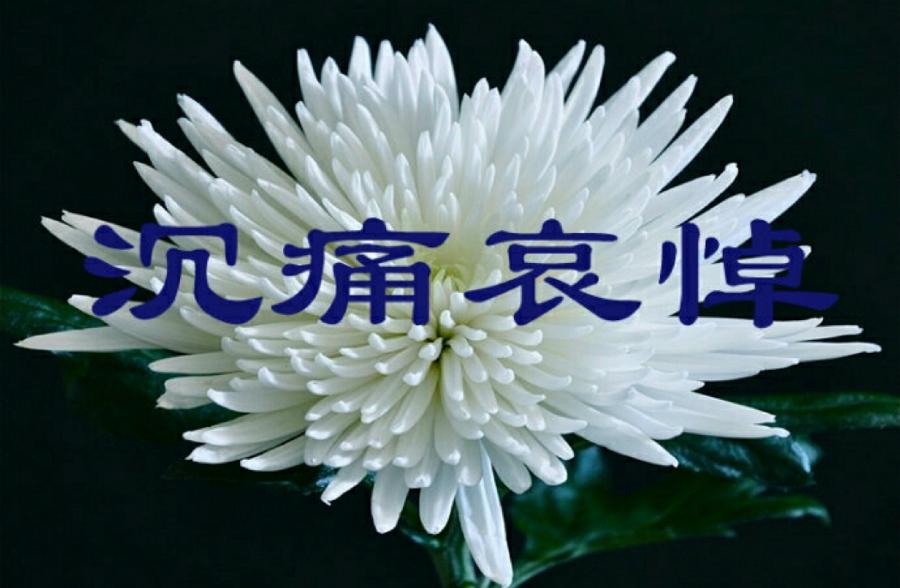 【梅园之音】听大梅朗诵《大姐走了》作者：陶鸿江（图5）