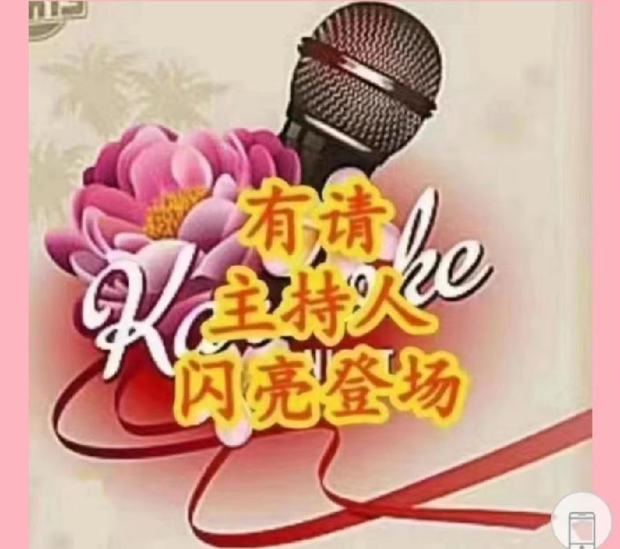 2023年7月23日文学艺术网鸿雁文学社主办作家诗人张金岭诗词专场诗会//雁子团队(图7)