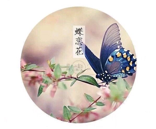 中华诗艺黑龙江分社微刊第152期(图10)