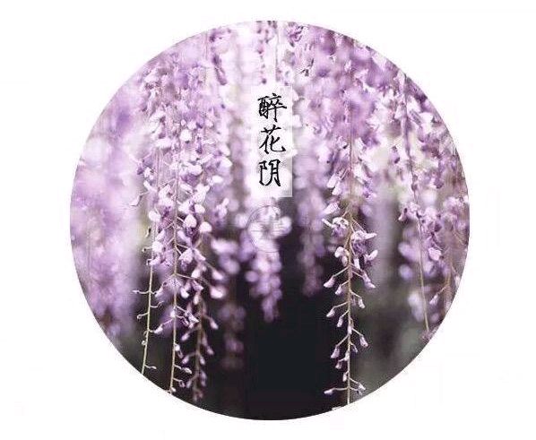 中华诗艺黑龙江分社微刊第152期(图15)