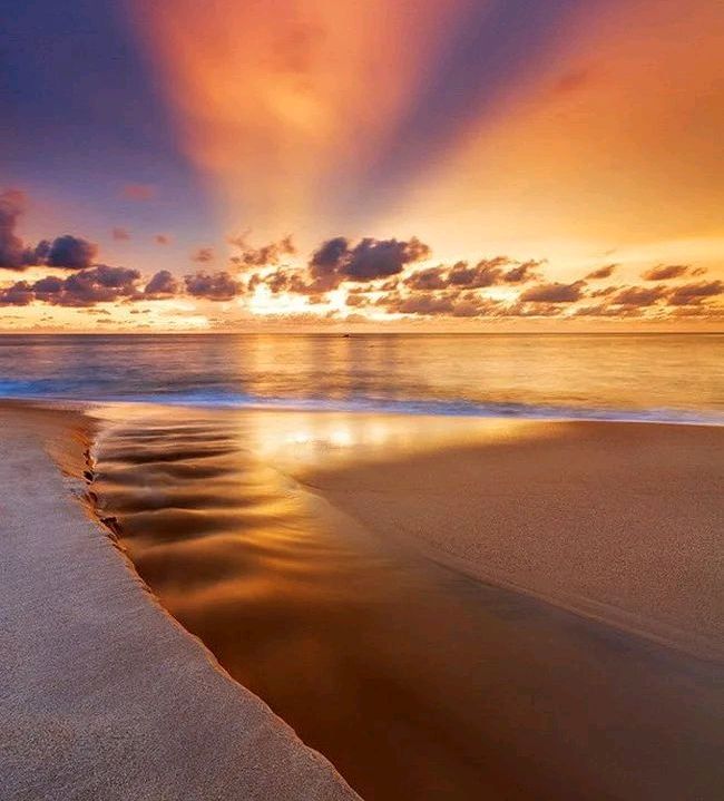请欣赏金牌主播大庆老师倾情诵读福香老师的作品《七律·人生感叹》编辑/海纳百川【第6097期】（图4）