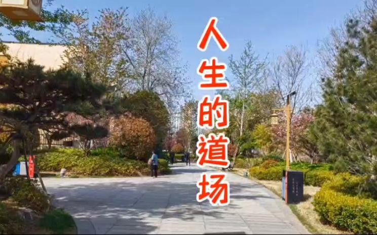 【经典推荐】鲁坡//穿梭在人生的道场（图2）
