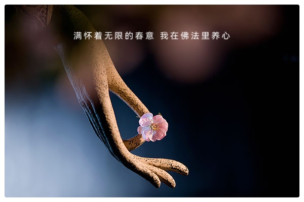 若能在一滴眼泪中闭关∥作者:仓央嘉措 ∥ 诵读:老菩提(图13)