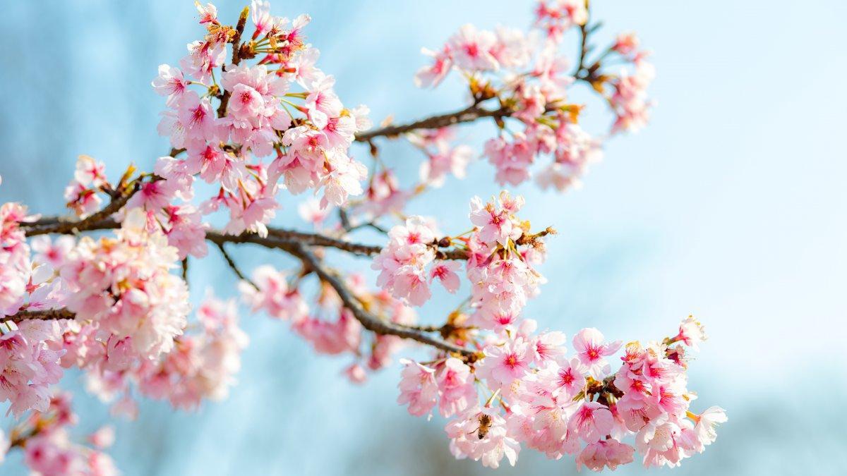 《信仰》作者:红蝴蝶 诵读:沈水之北(图3)