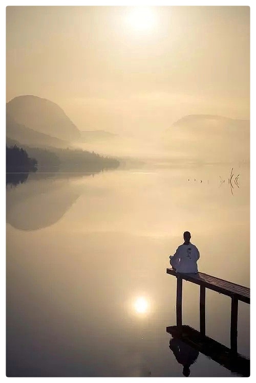 菩提花开∥作者/剑兰夫人∥诵读/老菩提(图3)
