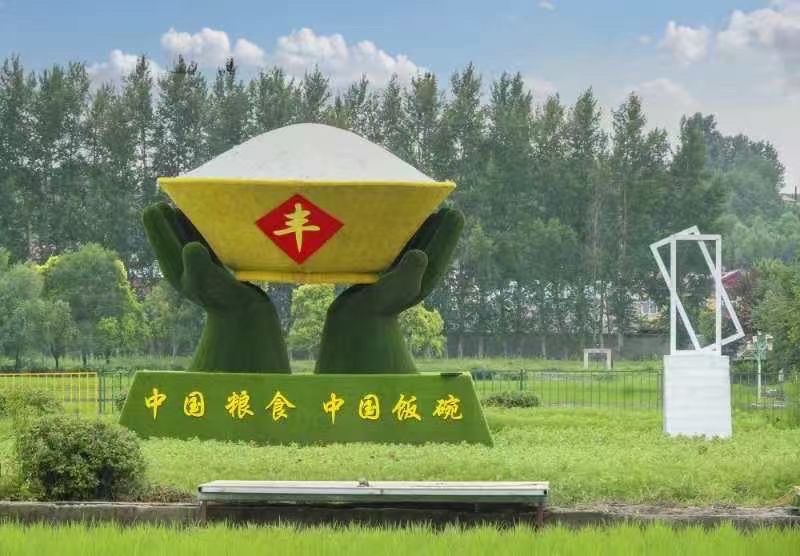 《儿时糗事》作者:红蝴蝶 诵读:李金钟(图6)