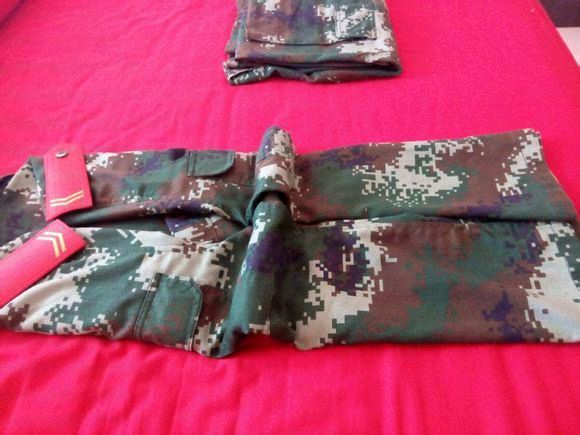 【八一专辑】请欣赏魏德崙老师的作品《军人的归宿》合诵/海纳百川 福音 编辑/海纳百川 【中国长江文学社】有声文学平台【第6114期】（图6）