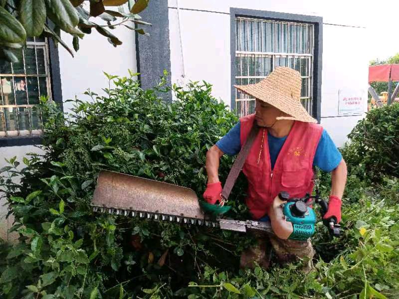 美化环境 志愿先行（图6）