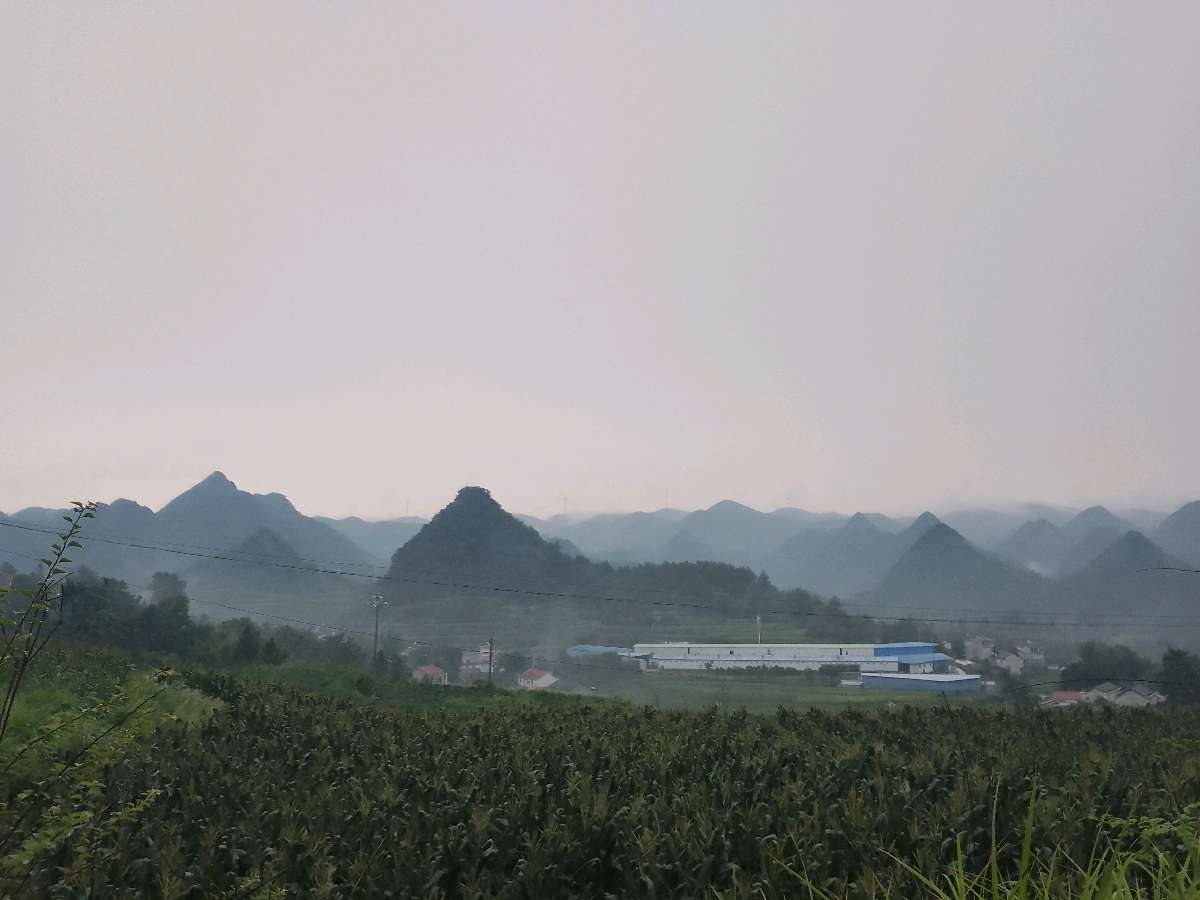 七律-山居闲吟~诗║裴锡光(图9)