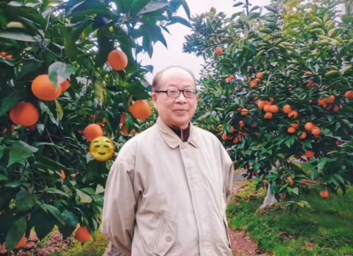 星火诗社358期微刊《八一军旗别样红》(图81)