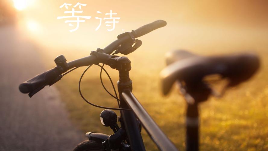 《等》作者:回泉山人【主播:玛芮米娜塔】【桃源国际诗歌】用声音传递温暖以诵读致敬人生♬（图7）
