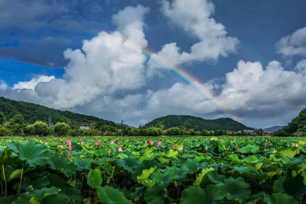 中华诗艺黑龙江分社微刊第155期(图40)