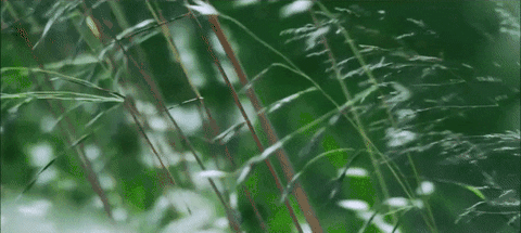 江水一湾诗一组——【华夏诗韵】征稿——都市头条(图6)
