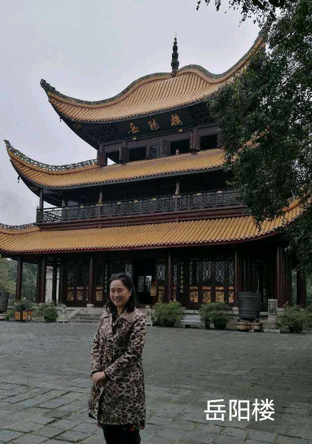 参观岳阳楼~诗║李耀文(图18)