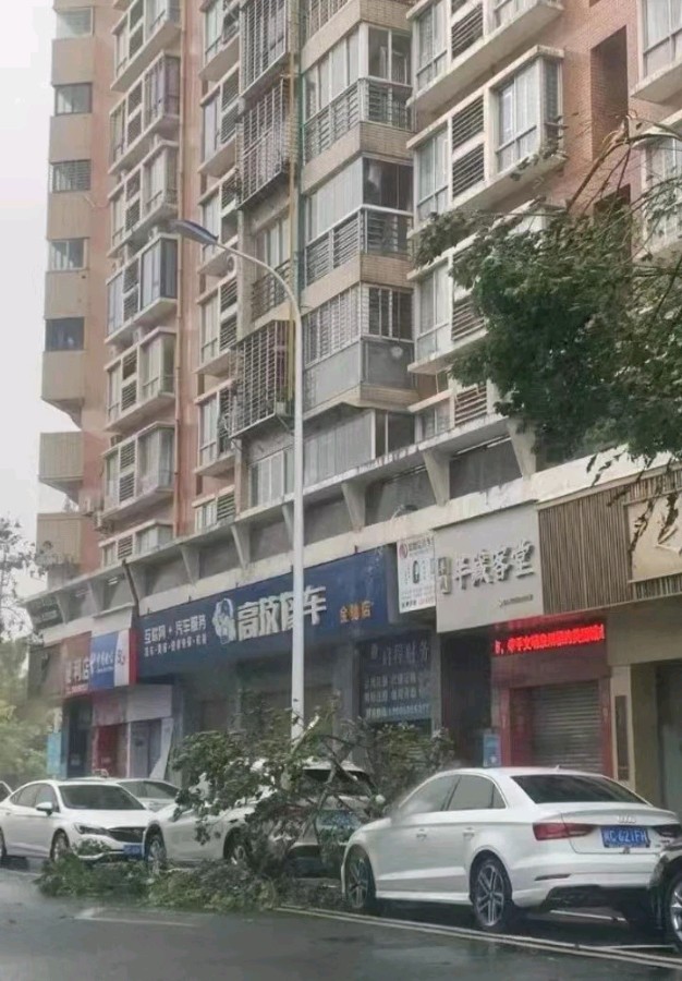 七律-超强“杜苏芮”袭击感赋～诗║雅轩琴韵（图10）