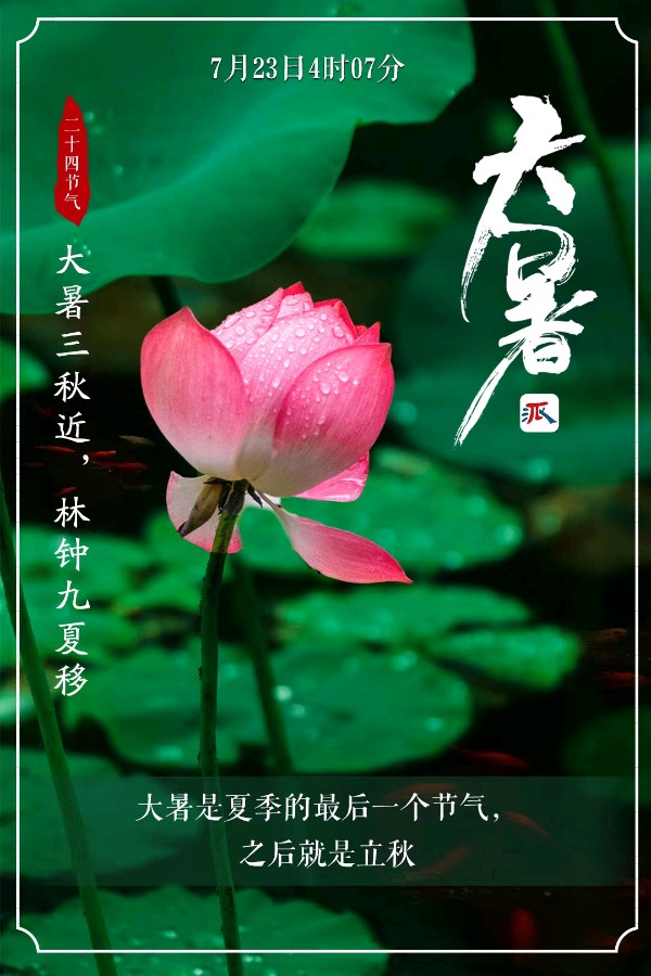 张广新的《大暑》