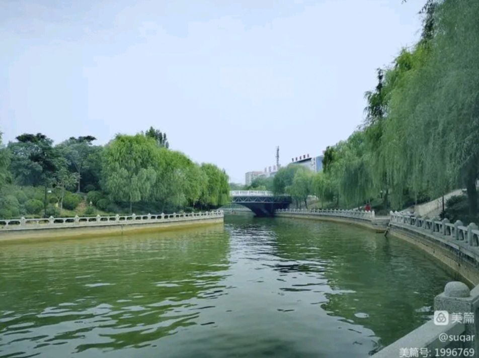 中华书画协会副主席安兴军夫妇一行到山东正信味业食品有限公司参观考察（图7）