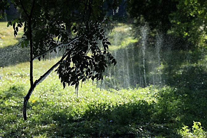现代诗《雨季》《狭路》两首 作者/沐荣（图4）