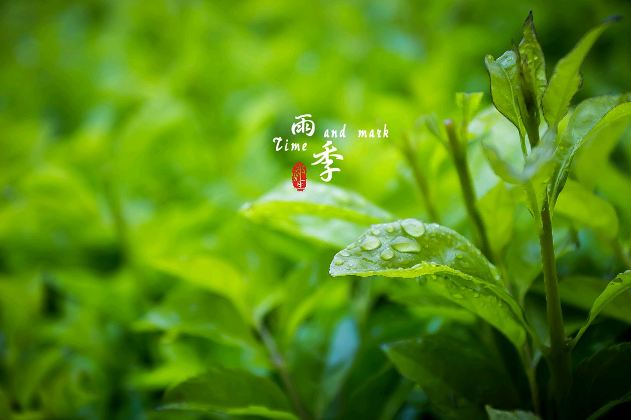 现代诗《雨季》《狭路》两首 作者/沐荣（图3）