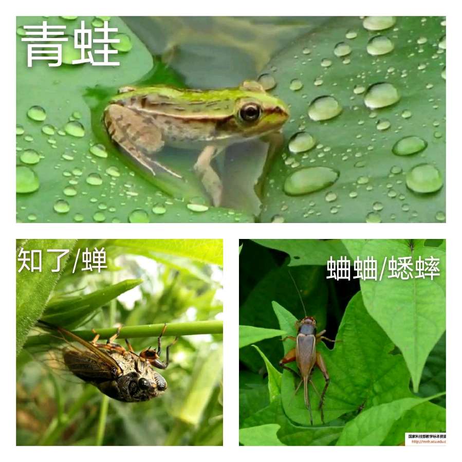 快乐度盛夏～诗║刘富建（图28）