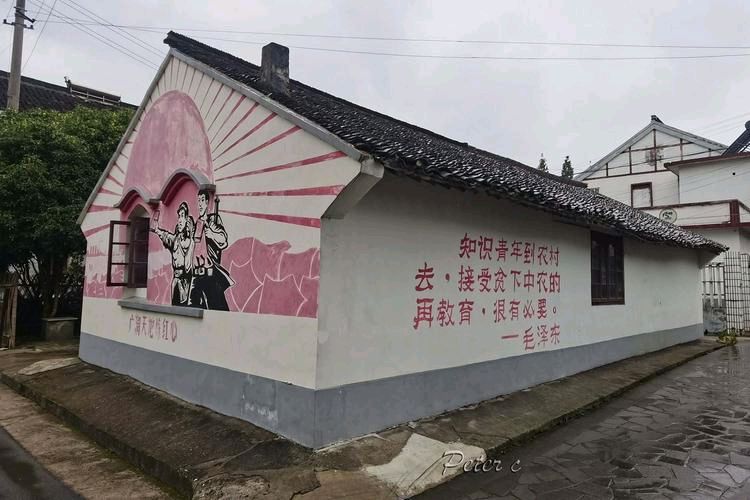 《我们知青点的土坯房》作者:吴丽跃‖主播:李金钟【中国现代诗歌文化传媒】徜徉诗的海洋，聆听天籁之声（图5）