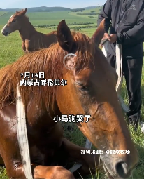 题图诗：万物有灵‖巴彦诗协诗词卷【568】（图3）