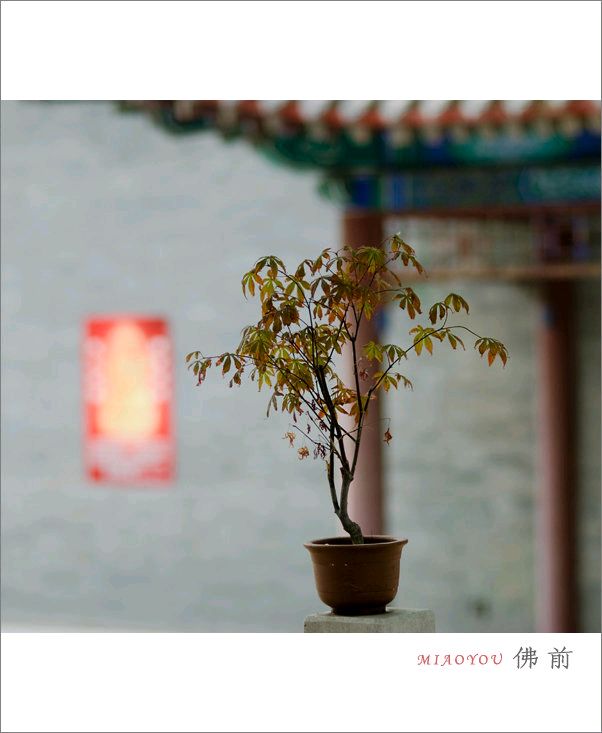 福娃朗诵【时间能分成任意小的片段吗】摘自/十万个为什么（图5）