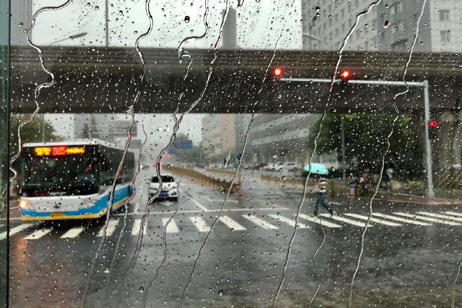 【新诗大观】雪白的流星||文/邹水平