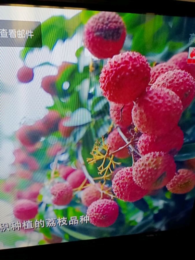 【荣耀中国】薛有毅诗词欣赏（图6）