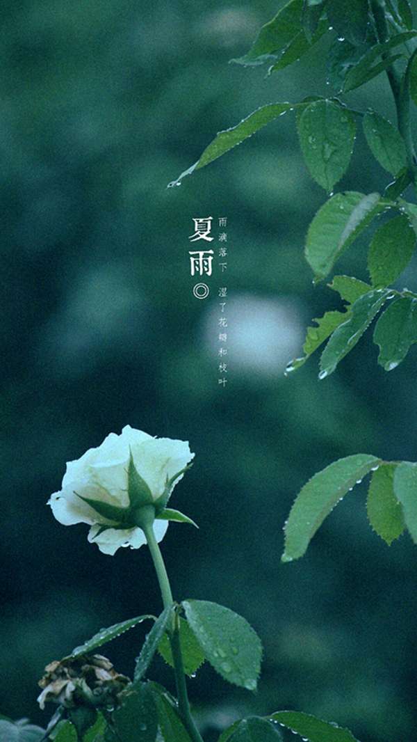 夏雨赋~诗║白印良(图8)