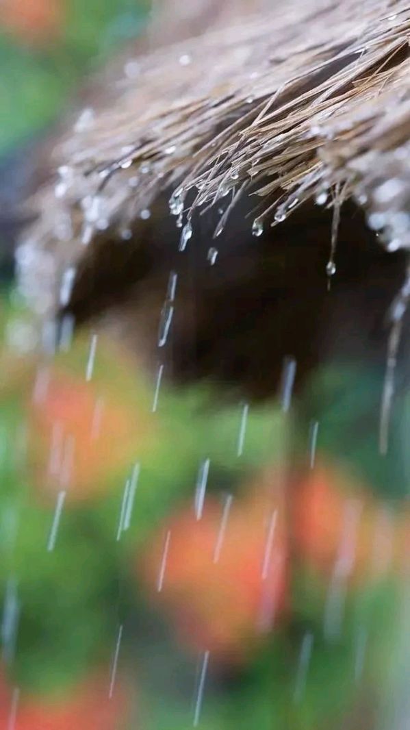 夏雨赋~诗║白印良(图9)