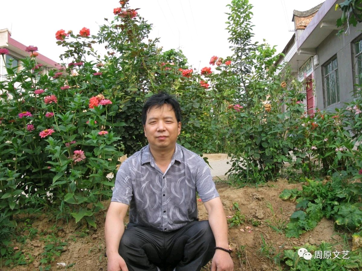 柿子记忆-文/杨进云-西银/北京头条(图4)