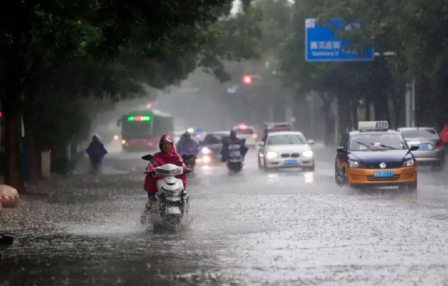 【新诗大观】对一场大雨的思考和记忆||文/姚元霞