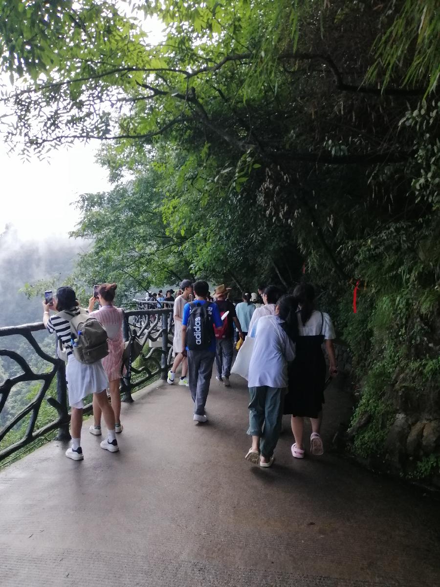 陋室螢光（杂谈九）文／江冲（图5）