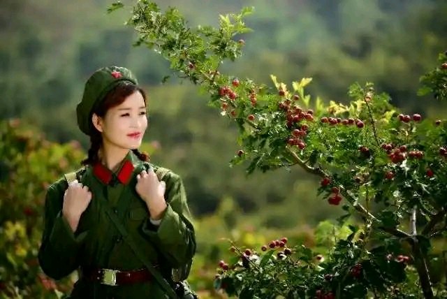 我爱绿军装～诗║朱学钊（图13）